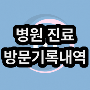 병원 진료 방문기록내역 확인서 인터넷 열람 조회 방법