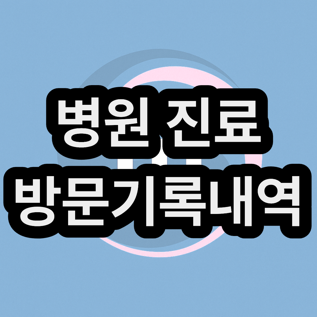 병원 진료 방문기록내역 확인서 인터넷 열람 조회 방법