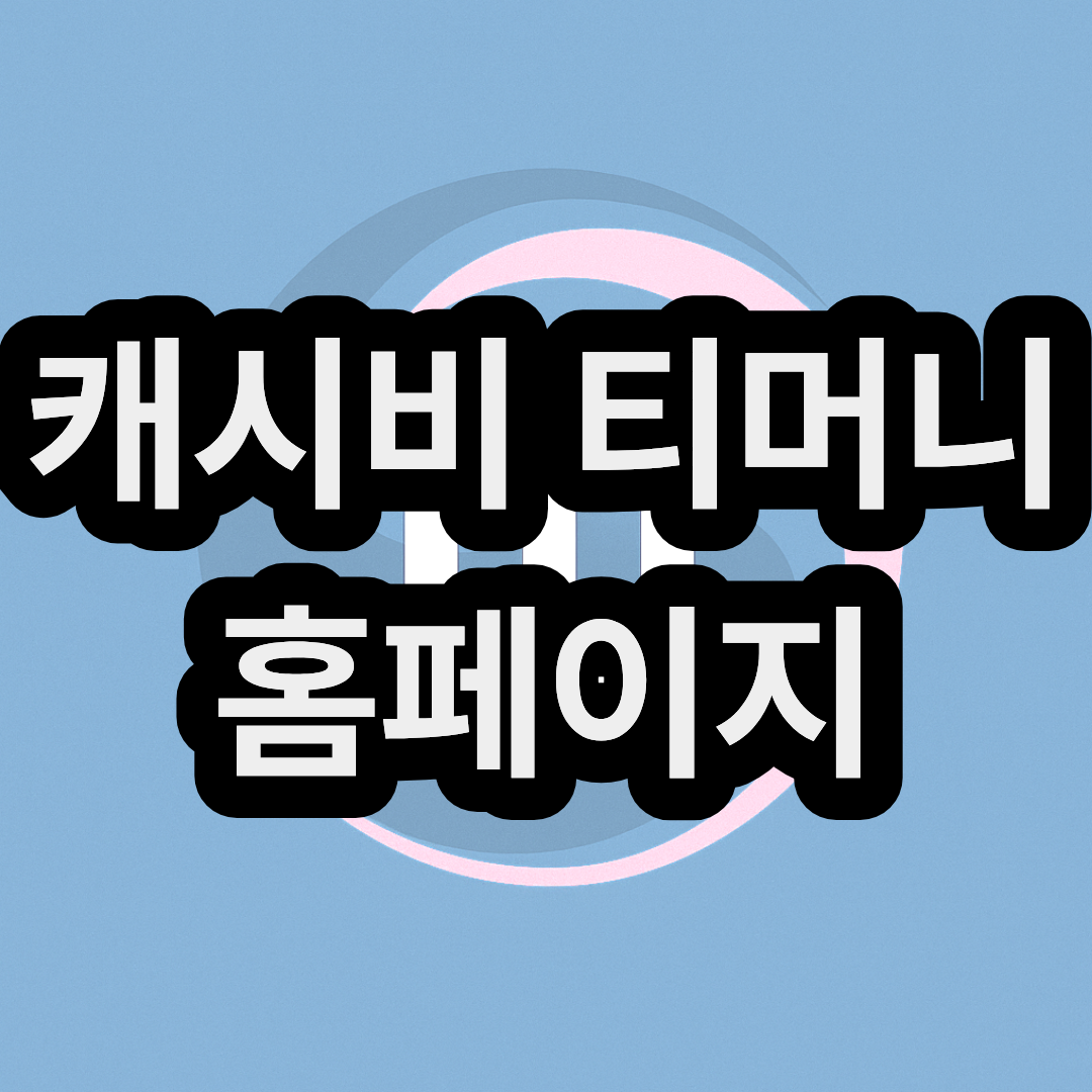 캐시비 티머니 홈페이지 바로가 주소 및 교통카드 잔액조회, 충전방법과 사용처