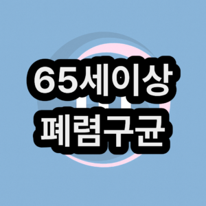 65세 이상 고령자 폐렴구균 예방접종 지원금 신청 방법 및 자세히 알아보기